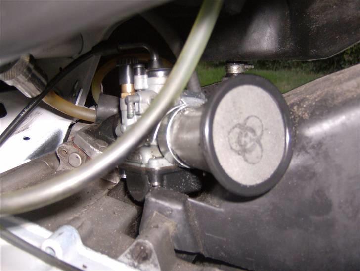 Gilera stalker byttet billede 19