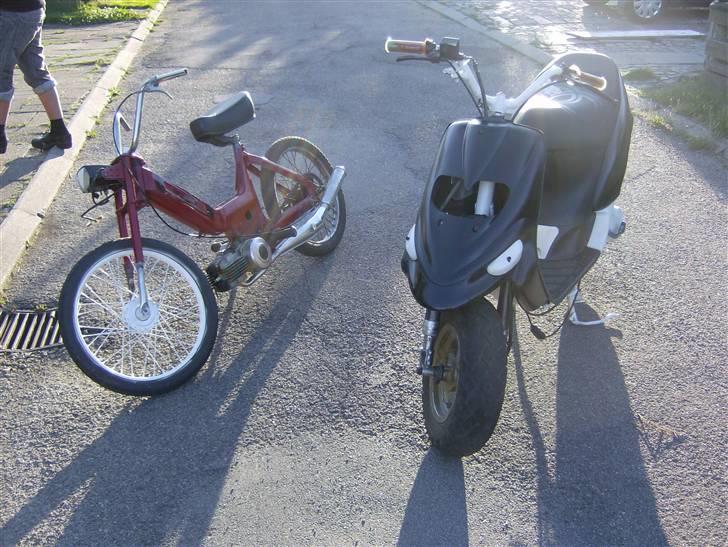 Gilera stalker byttet billede 20