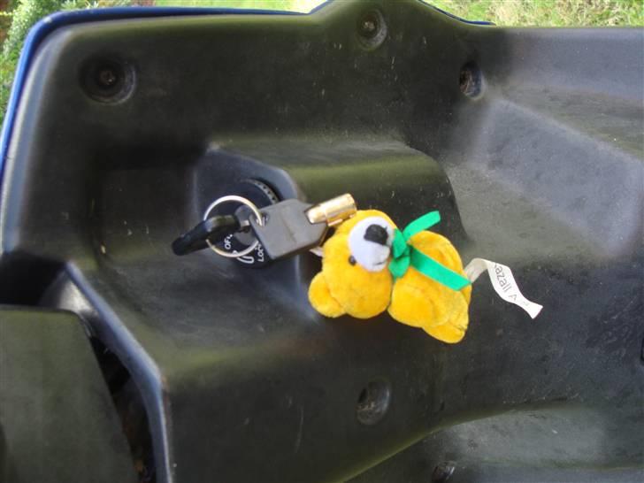 PGO Hot 50 solgt billede 8