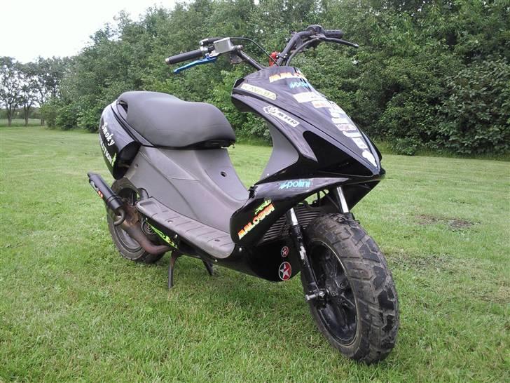 Benelli 491 billede 2