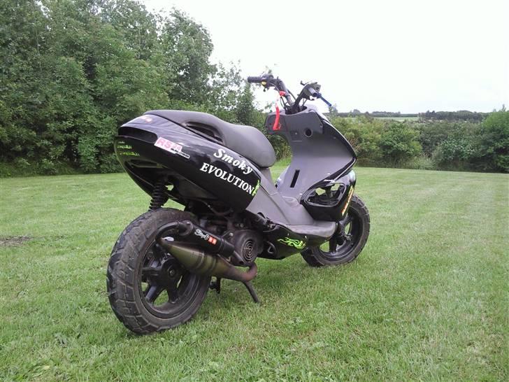 Benelli 491 billede 4