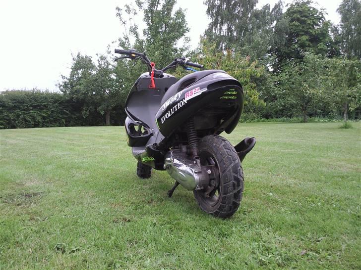 Benelli 491 billede 5