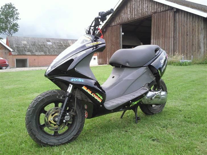 Benelli 491 billede 7