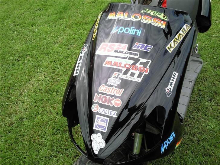 Benelli 491 billede 8