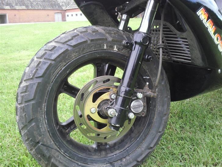 Benelli 491 billede 9