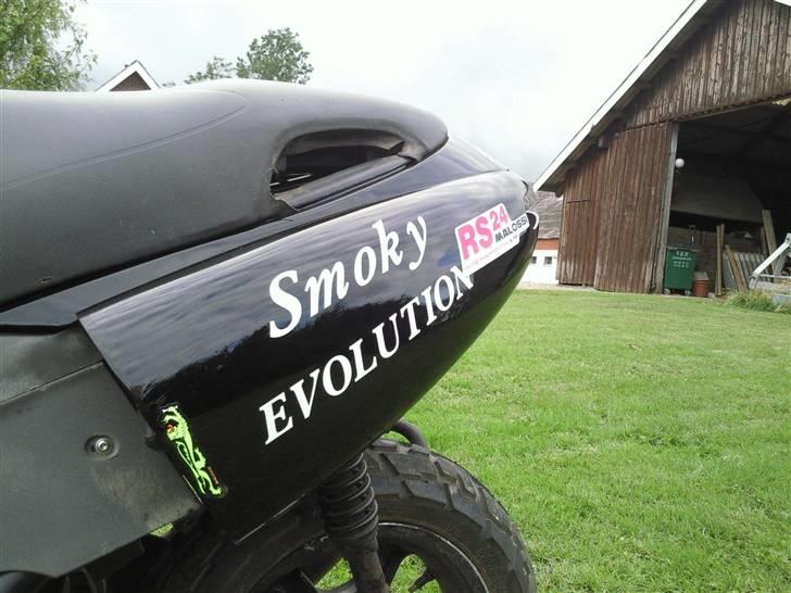 Benelli 491 billede 11