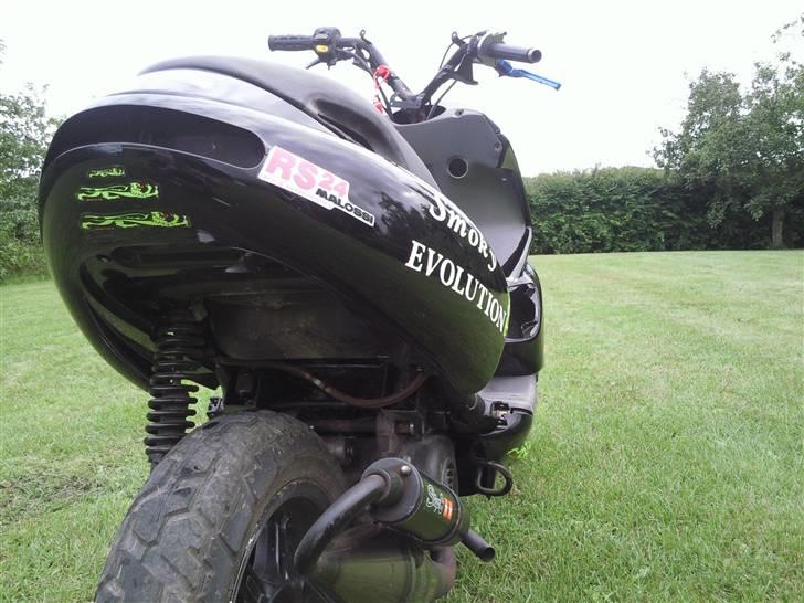 Benelli 491 billede 12