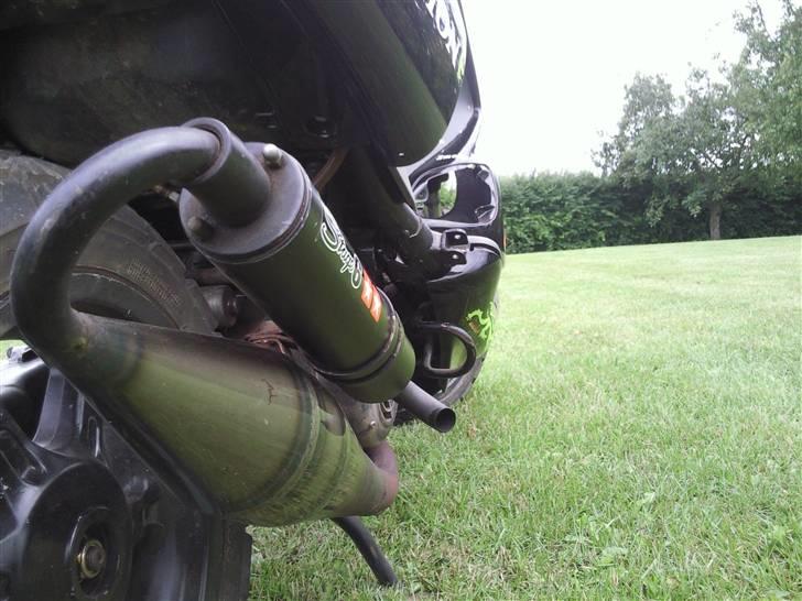 Benelli 491 billede 13