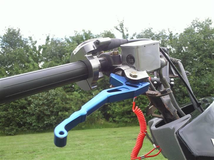 Benelli 491 billede 16