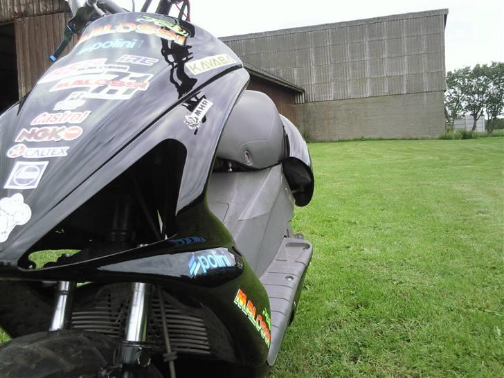 Benelli 491 billede 18