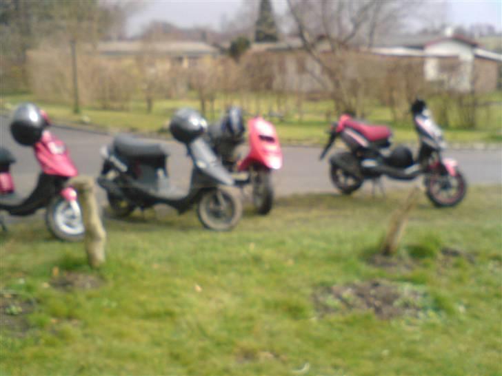 Piaggio 1996-97 Typhoon (byttet) billede 17