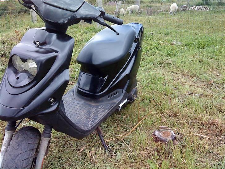 PGO Hot 50 Solgt billede 7