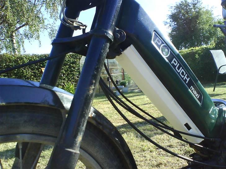 Puch maxi solgt billede 15