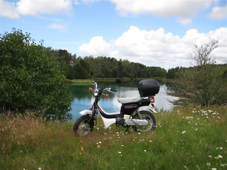 Suzuki fz50 *Solgt* billede 9