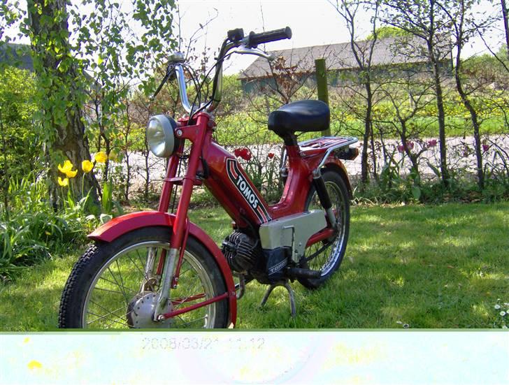 Tomos Quadro Solgt billede 3