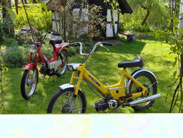 Tomos Quadro Solgt billede 6