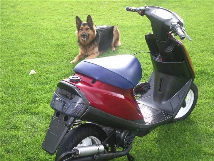 Yamaha Jog AS | Solgt billede 1