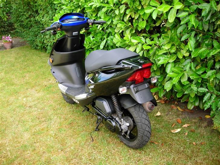 PGO Dr. Big - solgt billede 3