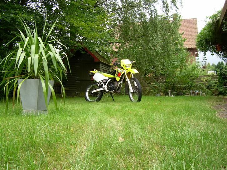 Suzuki RMX LC DD Solgt :'/  billede 12