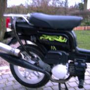 Suzuki Fz 50