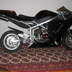 MiniBike R6 sport CVT 