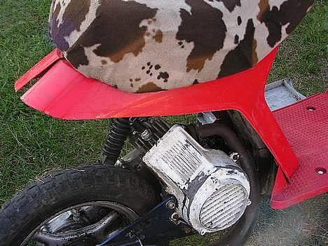 Honda Melody brændt  billede 7