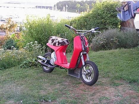 Honda Melody brændt  billede 9