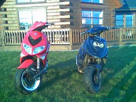 PGO Hot 50 Byttet billede 7