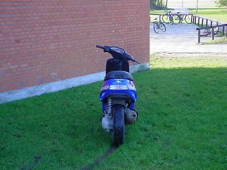 Piaggio Typhoon . Solgt  billede 4