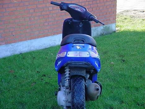 Piaggio Typhoon . Solgt  billede 5