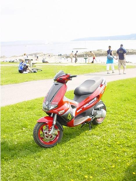 Gilera |Runner pure jet| billede 5