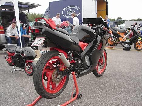 Yamaha TZR - 17,3++hk  - Autolakkeret øjnskygge på lygten! billede 3