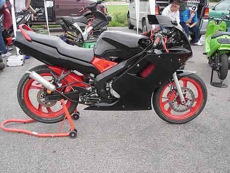 Yamaha TZR - 17,3++hk  - Et mørkt og dystert forårsbillede! billede 4