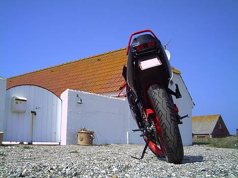 Yamaha TZR - 17,3++hk  - Go´røv? billede 7