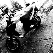 PGO PMX Naked #Carbon# AC 