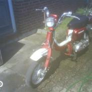 Suzuki fz50
