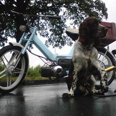 Puch maxi p lynet haha :P