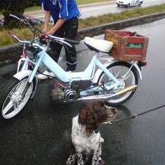 Puch maxi p lynet haha :P