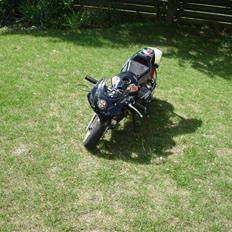 MiniBike hjemme lavet (død)