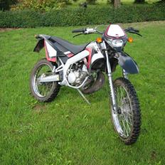Gilera RCR 50 LC DD (BYTTET)