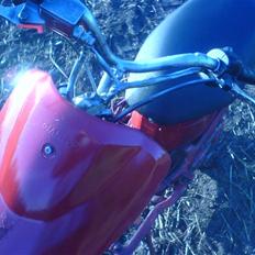 Giantco sprint (markracer)solgt!!