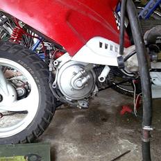 PGO hot Lc pata negra (Solgt)