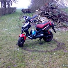 PGO pmx sport(byttet til Ssm)