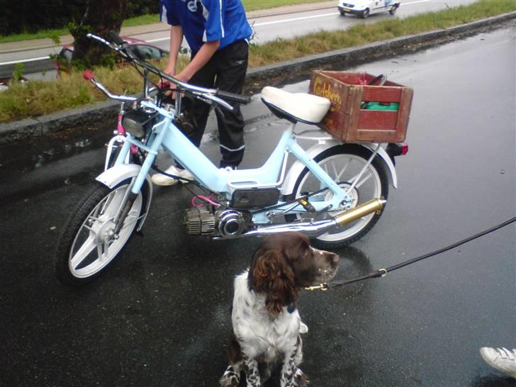 Puch maxi p lynet haha :P billede 2