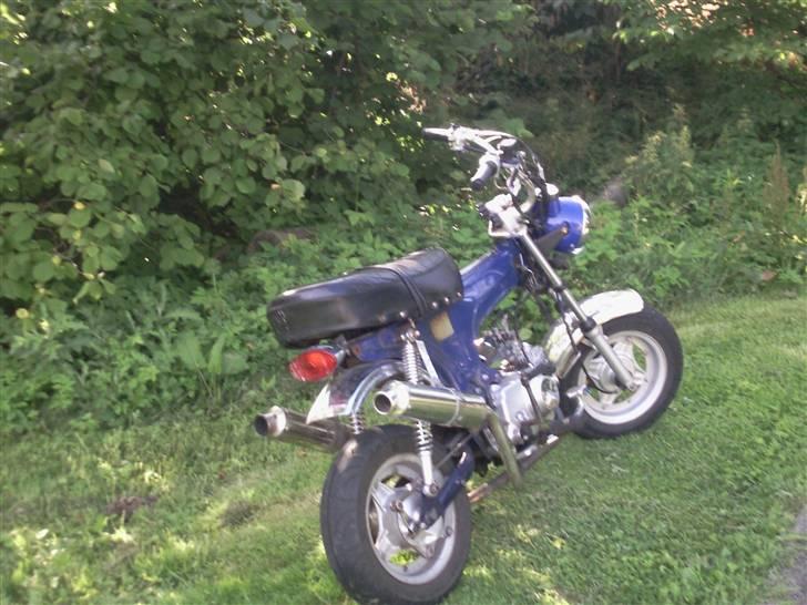 Skyteam Dax BYTTET billede 2