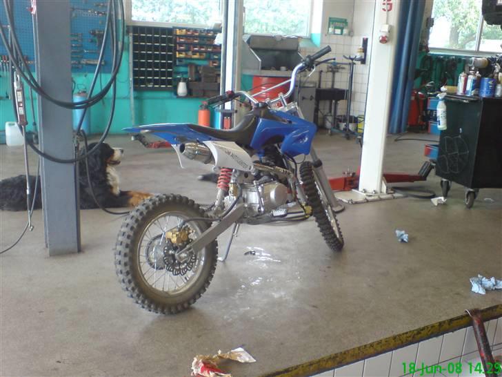 MiniBike FULL SIZE BYTTET - Var lige nede og fådet skifte oli på . Hunden hedder nemo billede 18