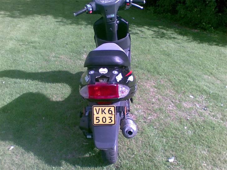 Texas free 50/4 hverdags ged - billedet taget d. 16/08/2008 bagfra  billede 2