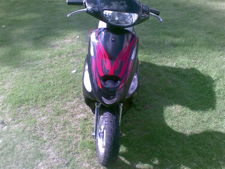 Texas free 50/4 hverdags ged - billedet taget d. 16/08/2008 fronten billede 3