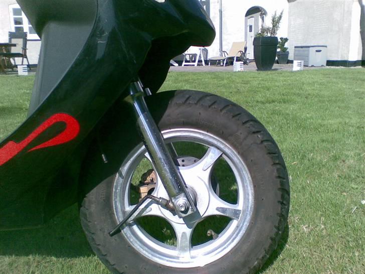 Texas free 50/4 hverdags ged - billedet taget d. 16/08/2008  fælg. nu uden forskærm billede 4