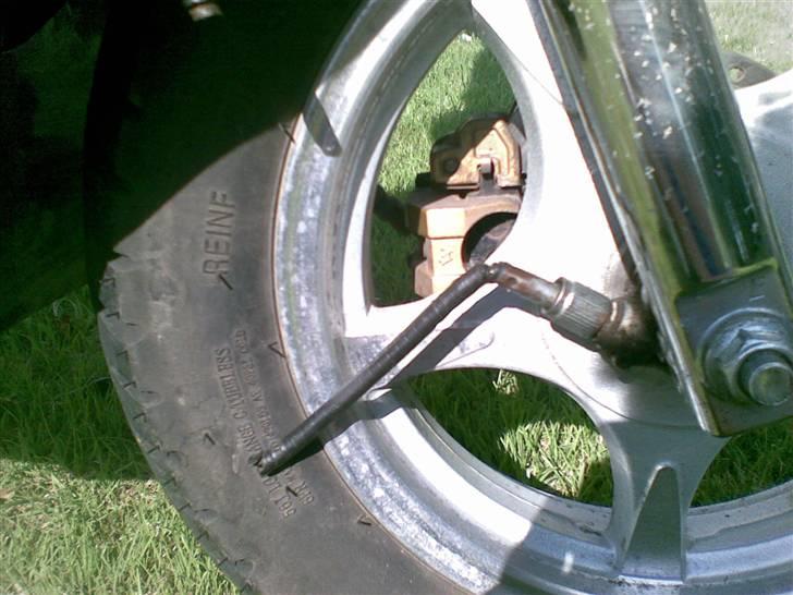 Texas free 50/4 hverdags ged - billedet taget d. 16/08/2008 grunden til at speedo ikk virker. nyt kommer snart billede 5